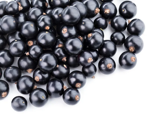 Schwarze Johannisbeeren — Stockfoto