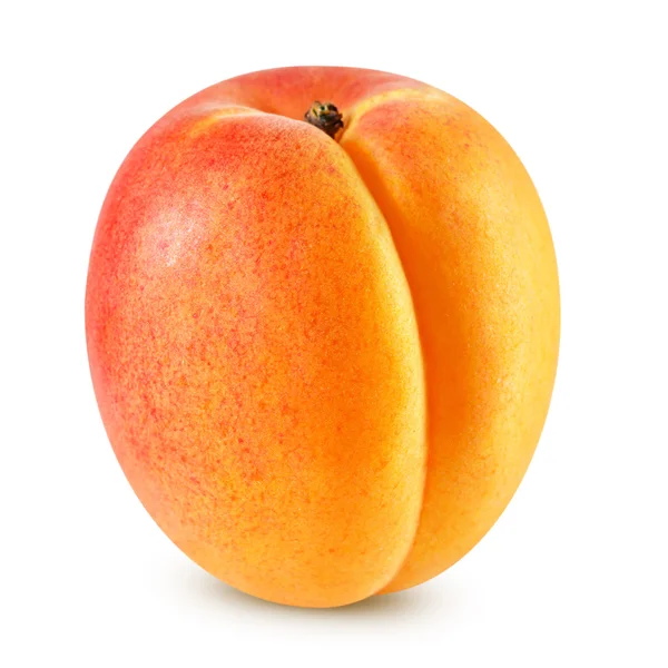 Apricot — Stock Photo, Image