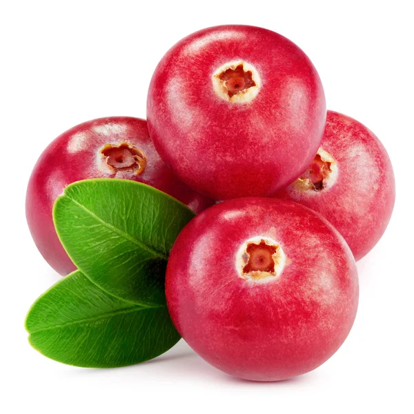 Cranberries — Stock Photo, Image