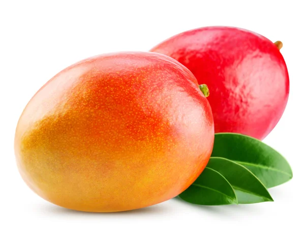 Mango — Stockfoto