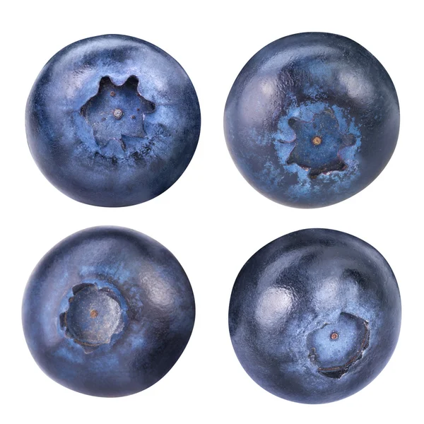 Blueberries isolated — Stock Photo, Image