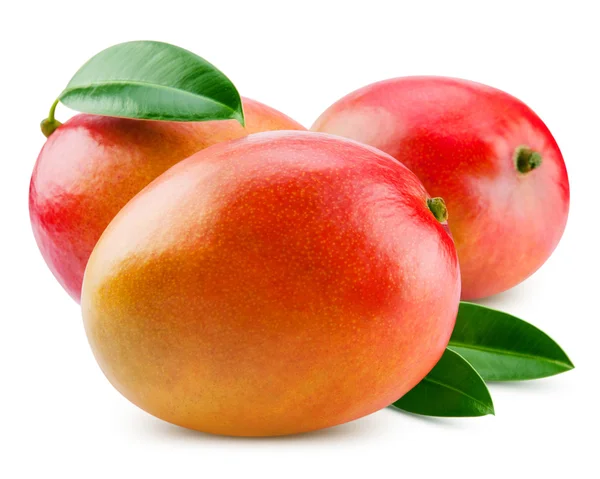 Mango — Foto Stock