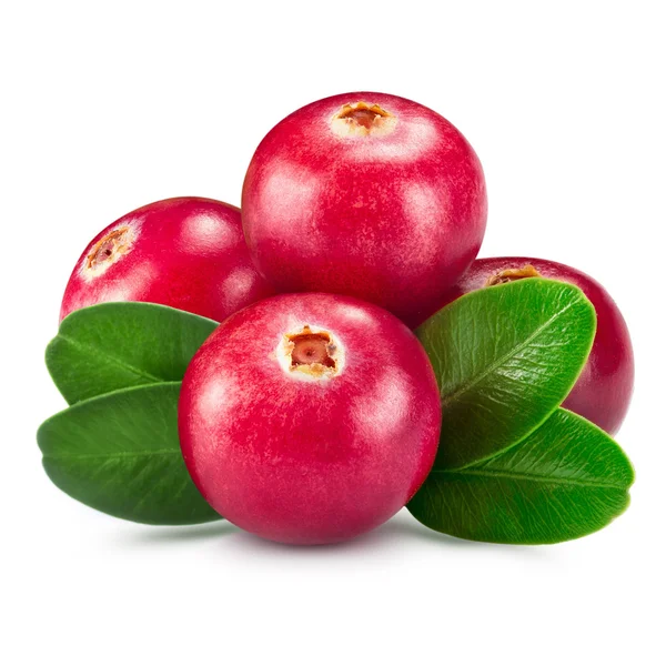 Cranberries — Stock Photo, Image