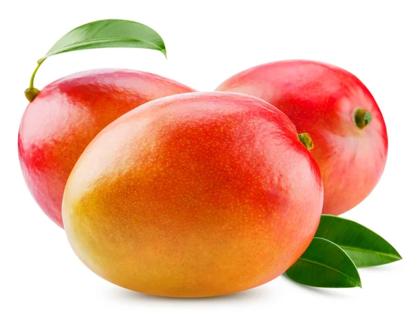 Mango — Foto Stock