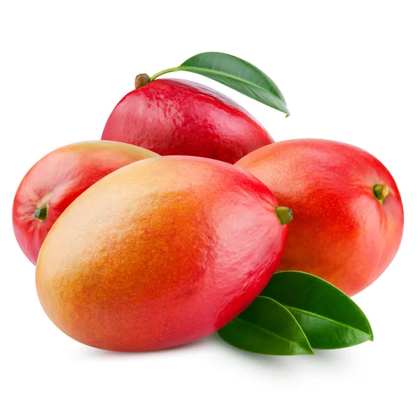 Mango — Foto Stock