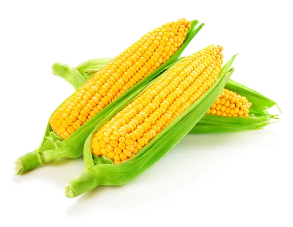 Corn — Stock Photo, Image