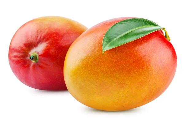 Mango — Stock Photo, Image