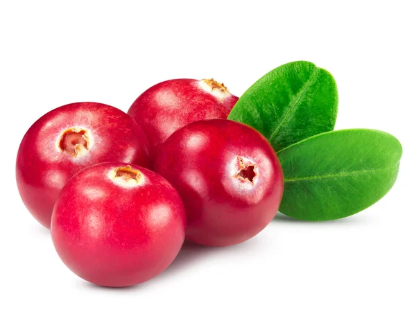 Cranberries — Stock Photo, Image