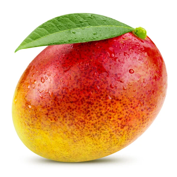 Mango — Stok fotoğraf