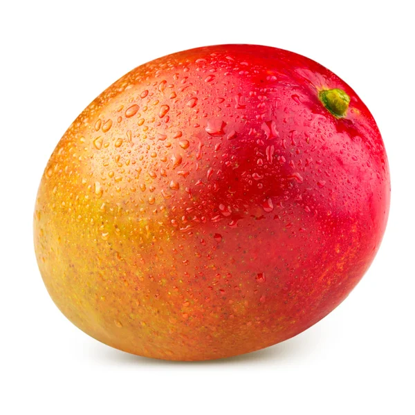 Mango. — Foto de Stock