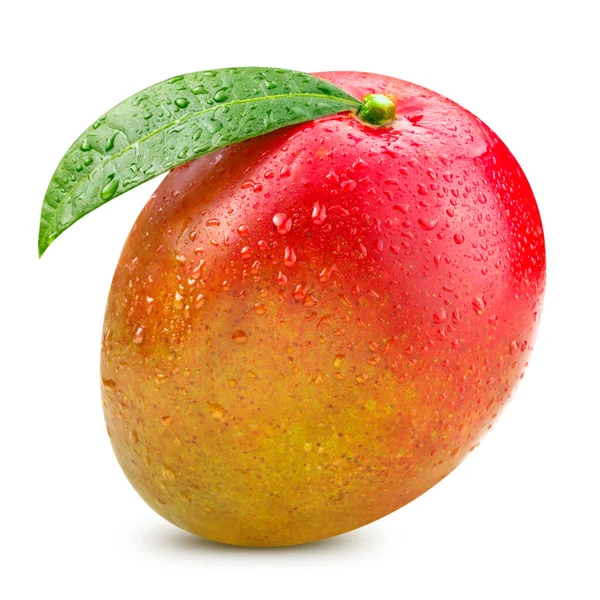 Mango — Foto Stock