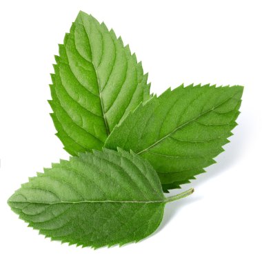 Lezzetli taze havuç