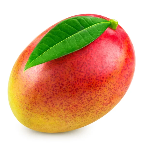 Свіжих манго смачні — стокове фото