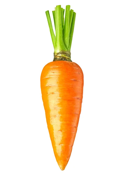 Морковь свежая вкусная — стоковое фото