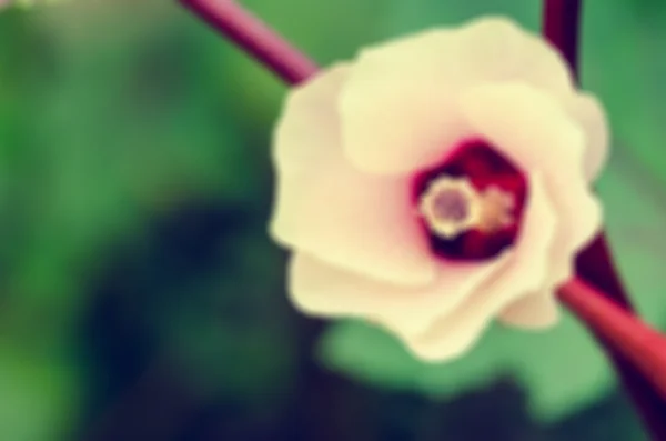 Vintage blur background flower