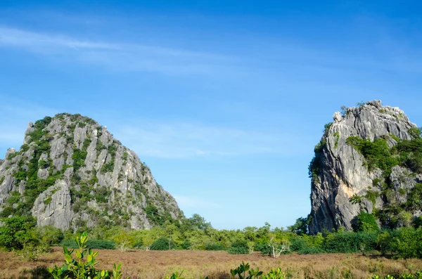 Landscape forest and mountain — Stock Photo, Image