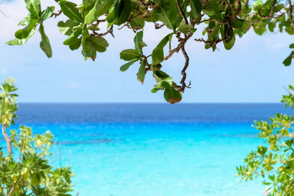 Mar azul bonito em Koh Miang em Mu Koh Similan, Tailândia — Fotografia de Stock