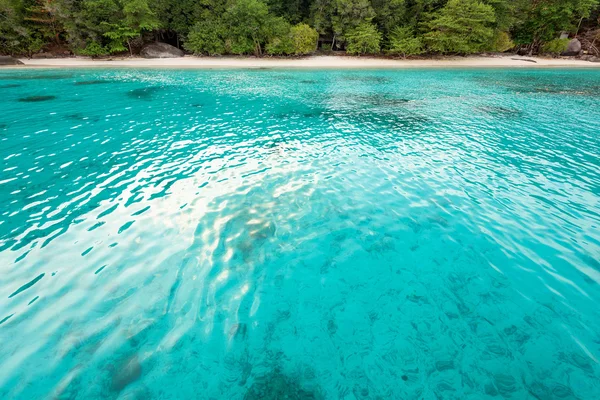 Miesiąc miodowy zatoki i plaży w Similan island, Tajlandia — Zdjęcie stockowe
