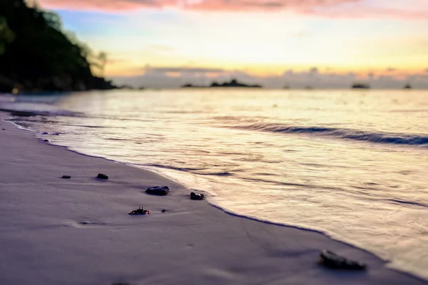 Tilt-shift sunrise plajda bulanıklık — Stok fotoğraf