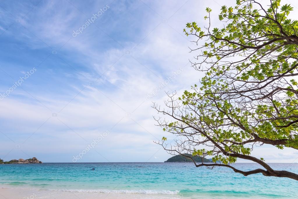 Sea and beach of Similan island in Thailand