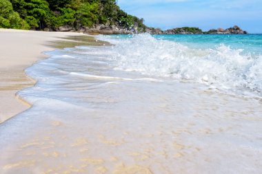 Plaj ve dalgalar Tayland Similan Milli Parkı