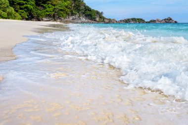 Plaj ve dalgalar Tayland Similan Milli Parkı