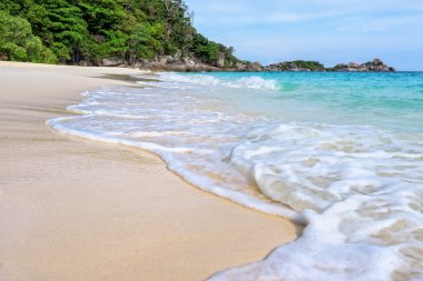 Plaj ve dalgalar Tayland Similan Milli Parkı