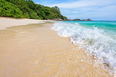 Plaj ve dalgalar Tayland Similan Milli Parkı