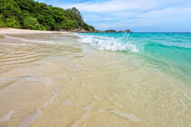 Plaj ve dalgalar Tayland Similan Milli Parkı