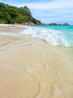 Plaj ve dalgalar Tayland Similan Milli Parkı