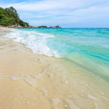 Plaj ve dalgalar Tayland Similan Milli Parkı