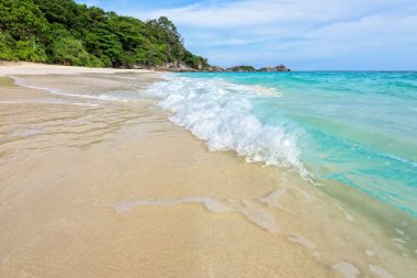 Plaj ve dalgalar Tayland Similan Milli Parkı