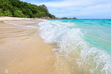 Plaj ve dalgalar Tayland Similan Milli Parkı
