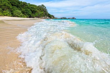 Plaj ve dalgalar Tayland Similan Milli Parkı