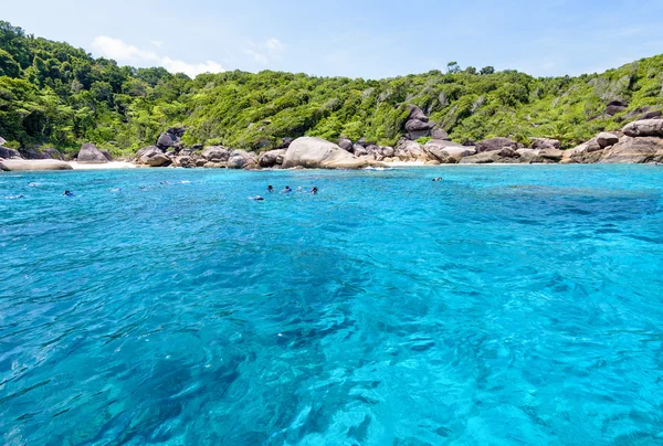 Tourists snorkeling at the Similan Islands in Thailand — Stock Photo, Image