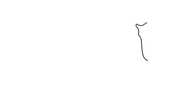 若い強い雄牛のシルエットのアニメーションを描く白地に雄牛の黒い輪郭 手描き サイドビュー 連続単線画は最新のトレンドです グラフィックビデオ — ストック動画