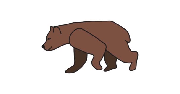 漫画ビデオ 大きな茶色のクマのシルエット 大人の男性 強い茶色のクマの道に沿って歩く ウルス アルコス ワドル 野生の獣の散歩 クラブ足のタイガのボス 手描き — ストック動画