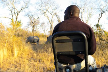 Sabi Sabi, Güney Afrika - 4 Temmuz 2012: Safari Rehberleri vahşi yaşam koruma alanında hayvanları takip ediyor