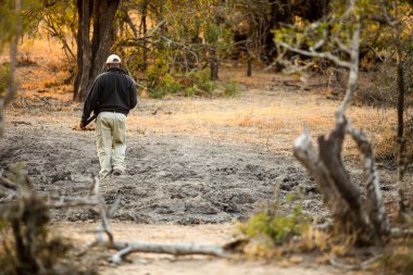 Sabi Sabi, Güney Afrika - 4 Temmuz 2012: Safari Rehberleri vahşi yaşam koruma alanında hayvanları takip ediyor