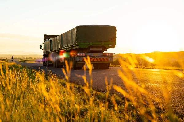 Karoo Afrique Sud Mars 2019 Logistique Camionnage Longue Distance Sur — Photo