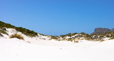 Fynbos ve Güney Afrika 'nın Cape Town kasabası Hoek' in yabani otları ile kıyı kum tepecikleri manzarası