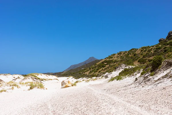 Παράκτια Αμμόλοφος Τοπίο Fynbos Και Άγρια Χόρτα Του Fish Hoek — Φωτογραφία Αρχείου