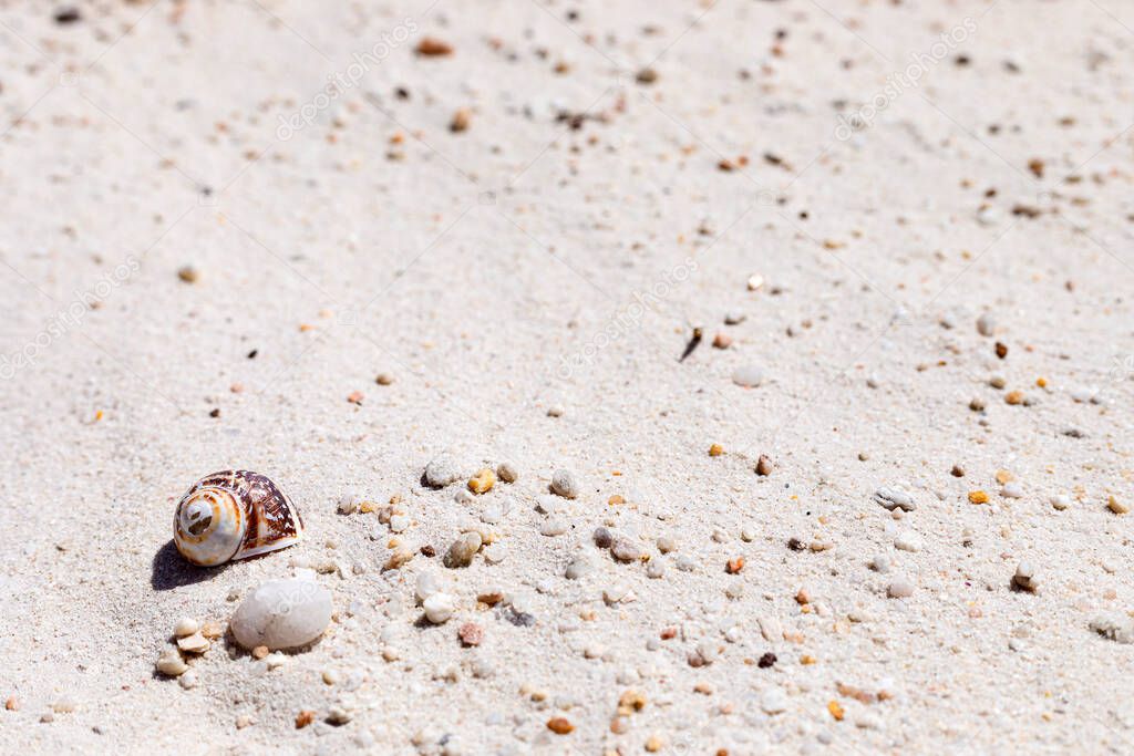 Small pebbles and seashell on beach sand in Coastal sand dune landscape of Fish Hoek, Cape Town South Africa