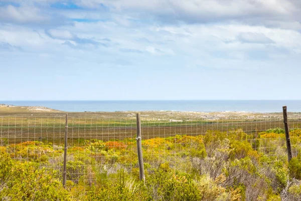 Güney Afrika 'nın Cape Town kıyı şeridindeki dağların manzarası.