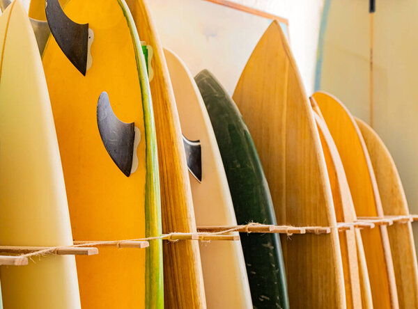 Row of retro vintage surfboards lined up in a local surf shop