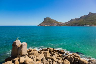 Cape Town, Güney Afrika - 17 Mart 2021: Hout Bay Cape Town, Güney Afrika 'da kayadaki Bronz Leopar heykeli