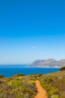Cape Town kıyısındaki bir dağın tepesindeki toprak patika yürüyüş yolları.