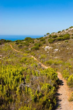 Cape Town kıyısındaki bir dağın tepesindeki toprak patika yürüyüş yolları.