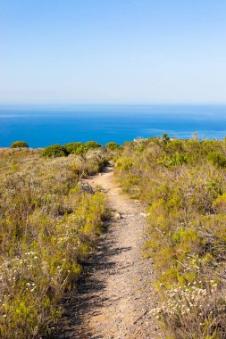 Cape Town kıyısındaki bir dağın tepesindeki toprak patika yürüyüş yolları.