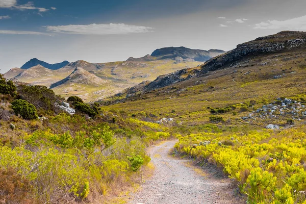 Cape Town kıyısındaki bir dağın tepesindeki toprak patika yürüyüş yolları.